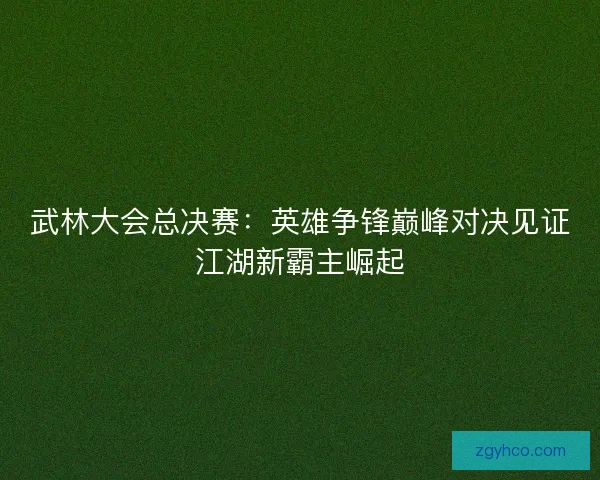 武林大会总决赛：英雄争锋巅峰对决见证江湖新霸主崛起
